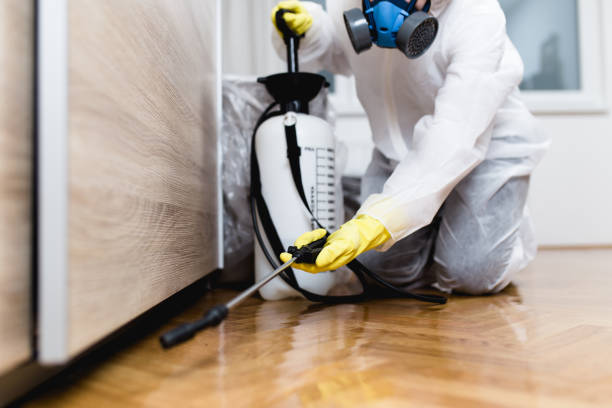 Best Cockroach Control Services  in Merriam, KS