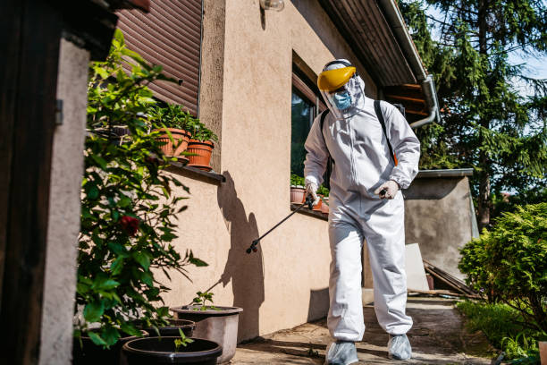 Best Best Pest Control Companies  in Merriam, KS