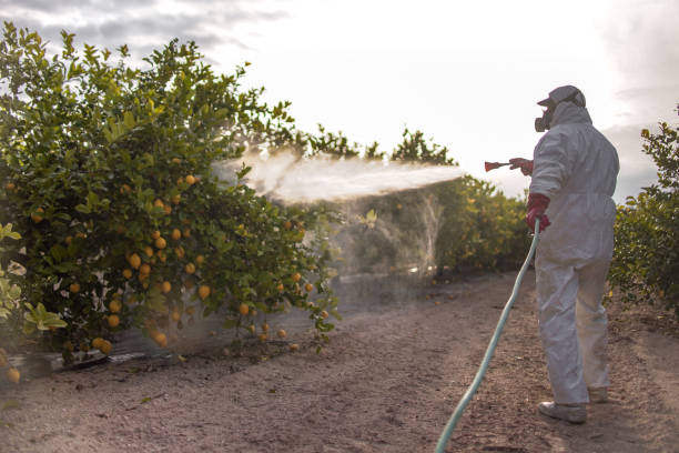 Best Mosquito Control Services  in Merriam, KS