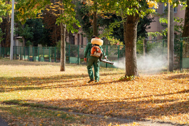 Best Residential Pest Control  in Merriam, KS